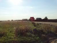 Imagine atasata: A1-Tm-Lg-dorum-2014-Aug-05.JPG